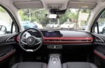 ORA Good Cat GT– For Sale From China |  Order From China to Canada - Image 2