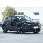 Neta X 500– Buy Direct From China | Premium Chinese EV Canada - Image 11
